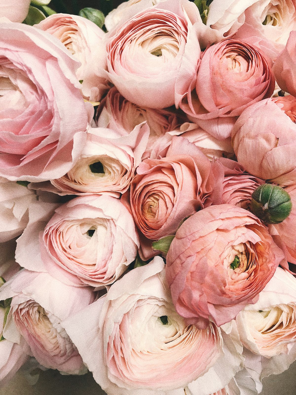 Seasonal hand-tied bouquet with garden flowers
